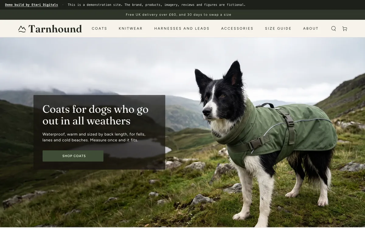 Screenshot of the Tarnhound demo